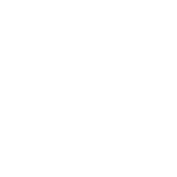 Home 06